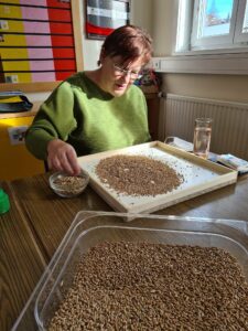 Kultivierung Getreidesorte - Nachhaltigkeit Lebenshilfe Salzburg